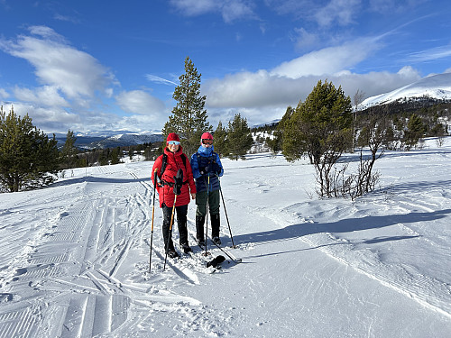 På vei opp fra løypekrysset nedenfor Putten seter i fin sol og litt kald vind