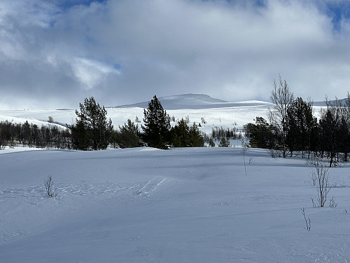 Formokampen sett fra turstart