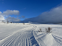 ØyvindBergkvam_20240616_666f168ce1815.jpg