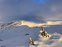 ØyvindBergkvam_20240616_666f1690b7712.jpg