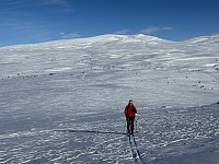 ØyvindBergkvam_20240616_666f199f749fd.jpg