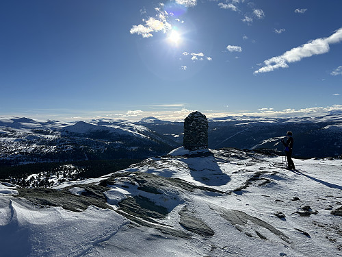 Vardhøe i Sel
