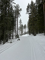 ØyvindBergkvam_20240616_666f246d12e11.jpg
