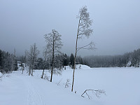 ØyvindBergkvam_20240616_666f246e5f4e9.jpg