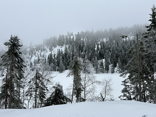 Piperberget sør sett fra vestsiden av Langpiperen