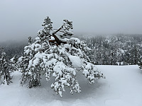 ØyvindBergkvam_20240616_666f2471ad40a.jpg