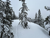 ØyvindBergkvam_20240616_666f2472d113a.jpg