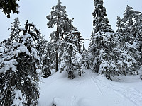 ØyvindBergkvam_20240616_666f24740e405.jpg
