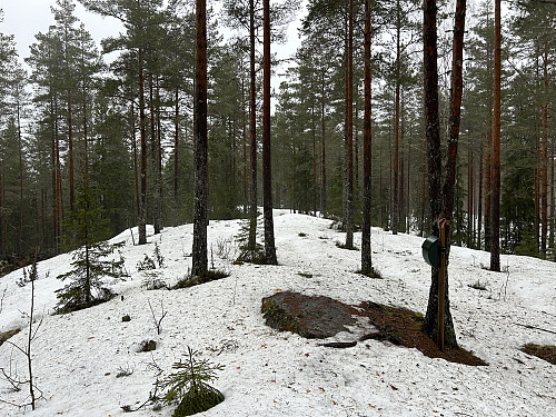 Brattåsen i Lillestrøm