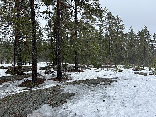 Toppunktet på Bergeråsen.