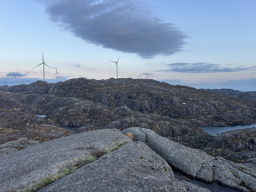 Utsikt mot Kalveknuden fra NV for Vestvatnet