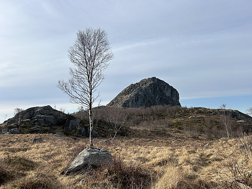 Solbjørgnipa sett fra nordsiden