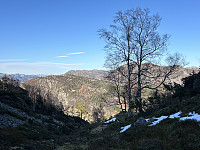 ØyvindBergkvam_20240617_667052d929606.jpg
