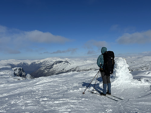 Utsikt fra Trollanuten ned mot Aurlandsfjorden