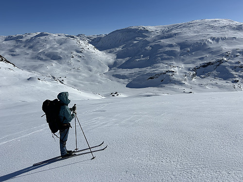 Utsikt mot sør, Øykjafonn til høyre bak i bildet