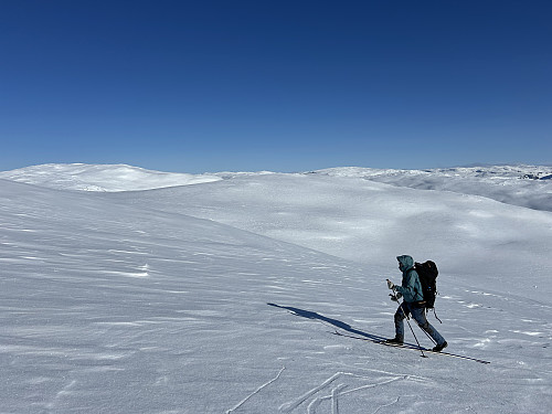 Kristoffer i godt driv opp mot Eilivseggi. Toppen av Rustedalseggi er den beskjedne høyden midt i bildet