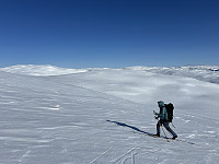 ØyvindBergkvam_20240707_668a71de92a12.jpg