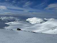 ØyvindBergkvam_20240707_668a7927a799c.jpg