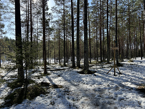 Stien til Vanakleiv rundt Abbortjern er godt skiltet