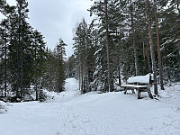 ØyvindBergkvam_20240707_668a8168714a7.jpg