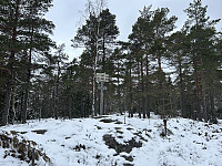 ØyvindBergkvam_20240707_668a8169f076d.jpg