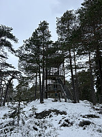 ØyvindBergkvam_20240707_668a816b90d30.jpg