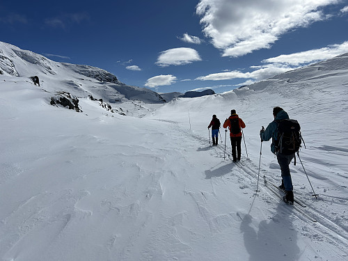 Øst for Sauafjellet