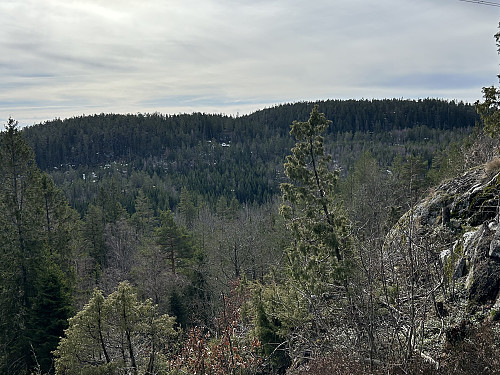 Hørsfjell sett fra oppstigningen til Bambleåsen