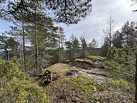 ØyvindBergkvam_20240708_668c34eaeb9b4.jpg