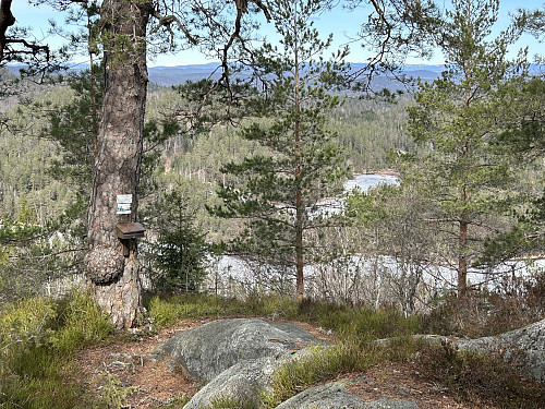 Utsiktspunktet på Bambleåsen
