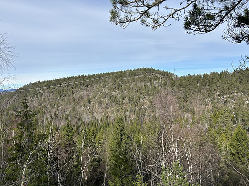 Bambleåsen sett fra oppstigningen mot Hørsfjell