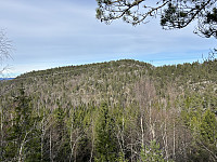 ØyvindBergkvam_20240708_668c34ee57b26.jpg