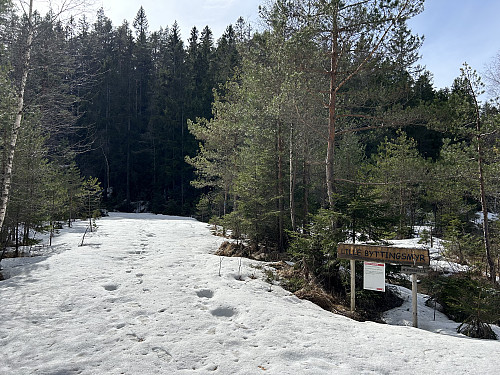 Partier med snø også opp mot Hørsfjell, men ikke på lang nær så mye som på veien inn mot Bambleåsen