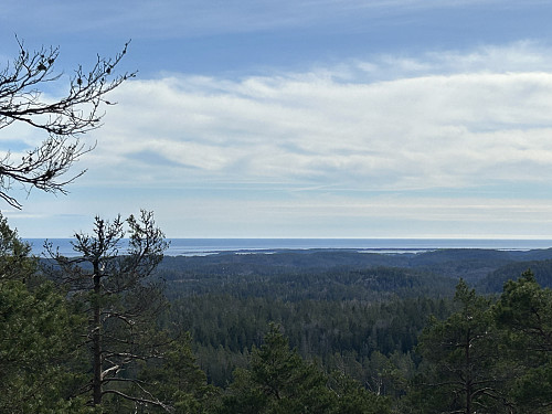 Vid utsikt fra Hørsfjell. Jomfruland ses godt midt i bildet