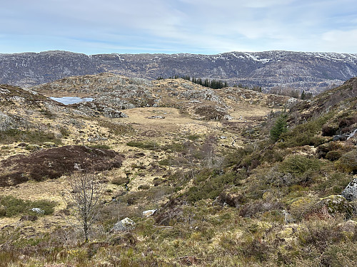 Myrområdet sett ovenfra. Stien kommer inn fra høyre i bildet