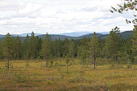 ØyvindBergkvam_20240814_66bcf12be2af6.jpg