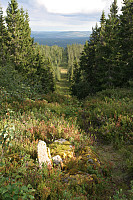 ØyvindBergkvam_20240814_66bcf1305e510.jpg