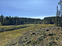 ØyvindBergkvam_20240818_66c23708e5dec.jpg