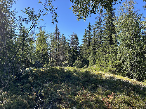 Kulpåsen 616 moh 