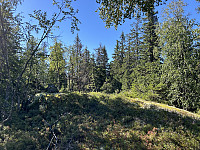 ØyvindBergkvam_20240818_66c2370c8a7dc.jpg