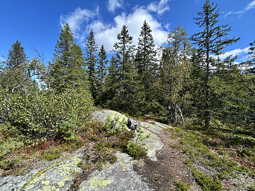 Kjerkeberget 654 moh i Ringerike