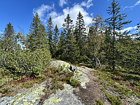 ØyvindBergkvam_20240818_66c2371394c0d.jpg