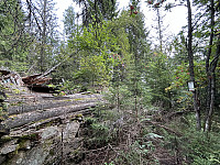ØyvindBergkvam_20240818_66c23e68d59d4.jpg