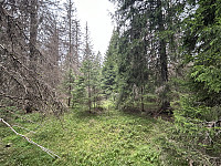 ØyvindBergkvam_20240818_66c23e6a97931.jpg