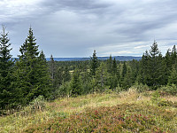 ØyvindBergkvam_20240818_66c23e6c25172.jpg