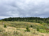 ØyvindBergkvam_20240818_66c23e6d8f374.jpg