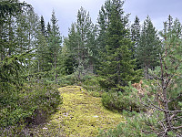 ØyvindBergkvam_20240818_66c23e6f1d3f6.jpg
