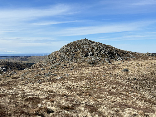 Joneknuten 470 moh