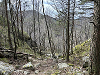 ØyvindBergkvam_20240824_66ca1e7c231da.jpg