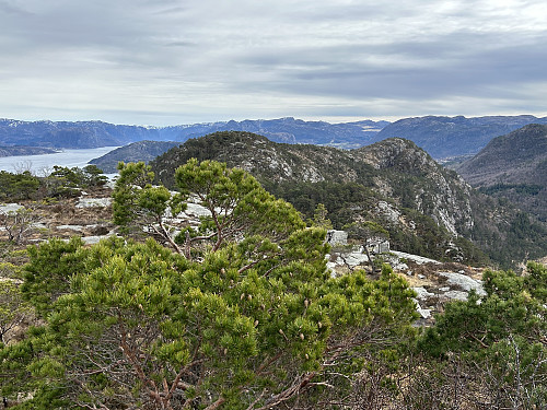 Midtre Hammarsfjell sett fra Ørnehammaren